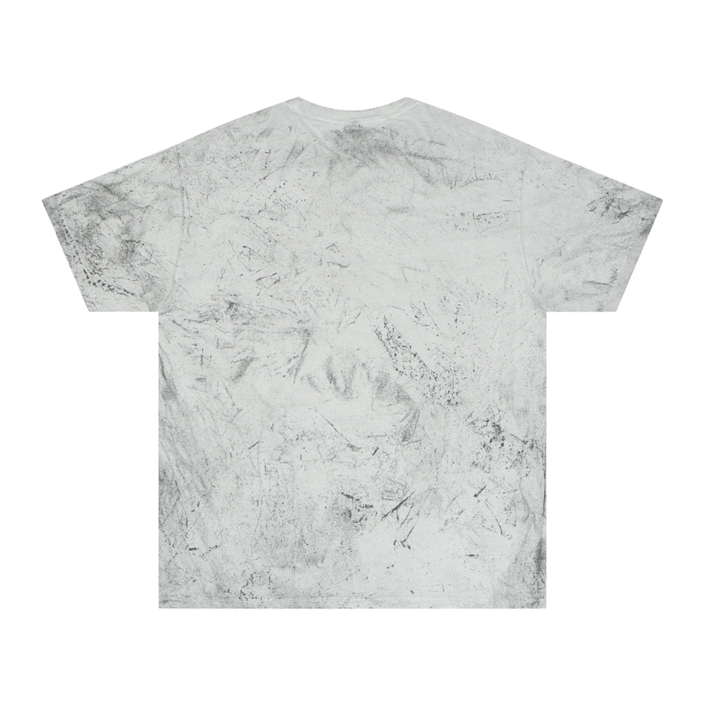 "I Had the Time of My Life Fighting Dragons With You" Graphic T-Shirt