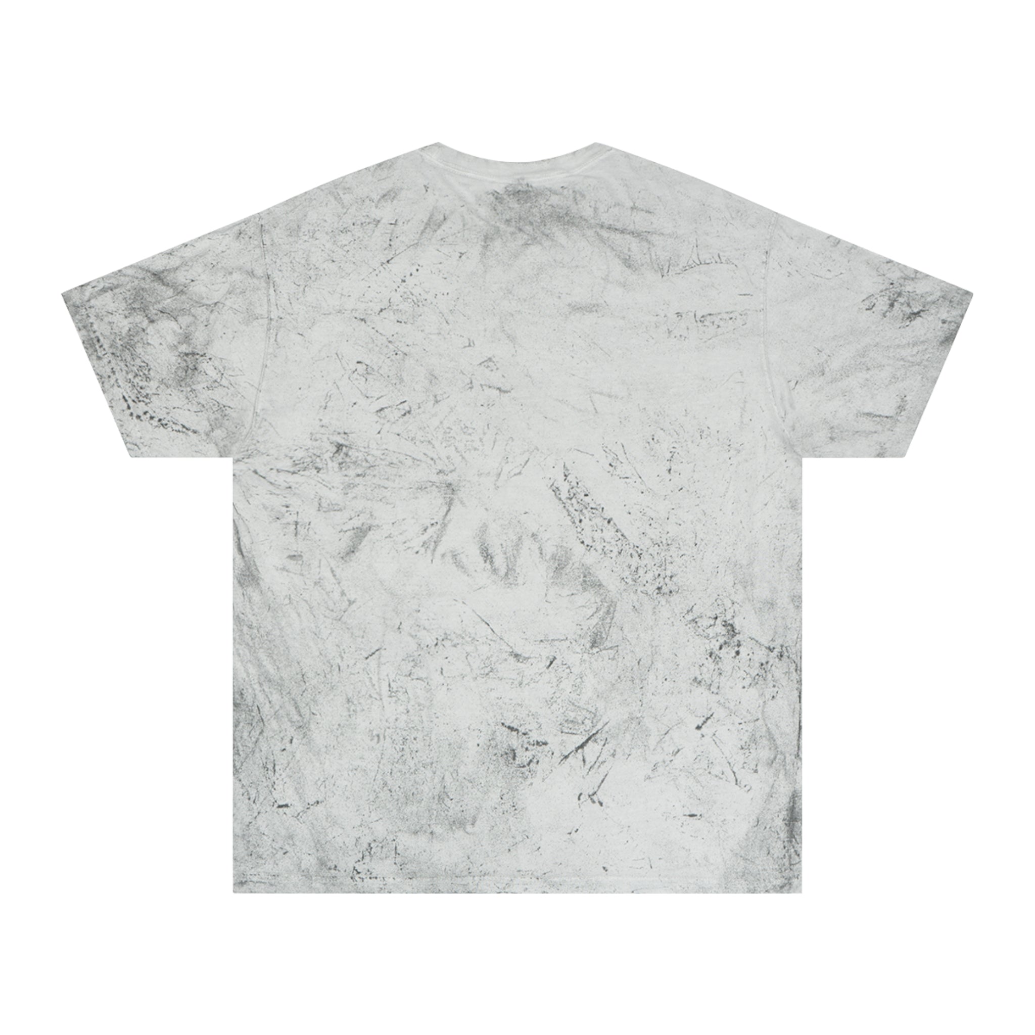 "I Had the Time of My Life Fighting Dragons With You" Graphic T-Shirt